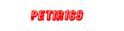 PETIR169